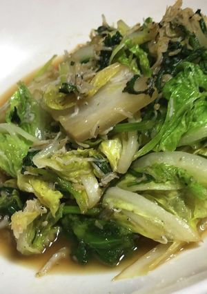 白菜と春菊のかちり和え〜ごま油風味〜-レシピのメイン写真