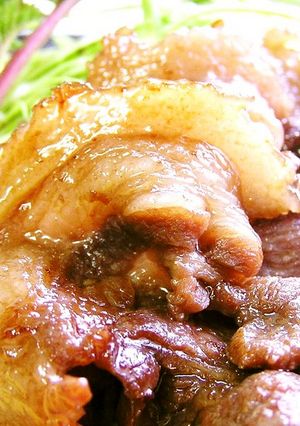 シンプル!いのしし肉の生姜焼き-レシピのメイン写真