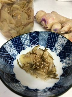 新生姜の甘酢漬け(昆布ガリ)-レシピのメイン写真