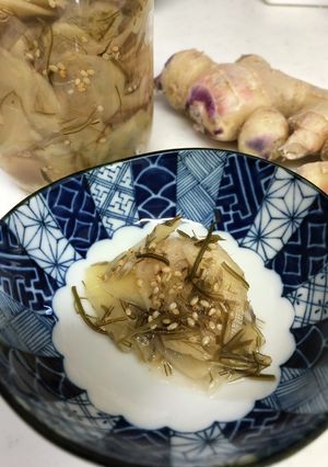 新生姜の甘酢漬け(昆布ガリ)-レシピのメイン写真