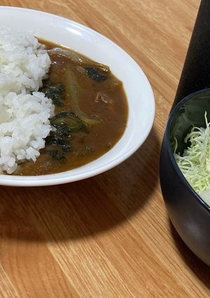 和風カレー【茶色いおかず】-レシピのメイン写真