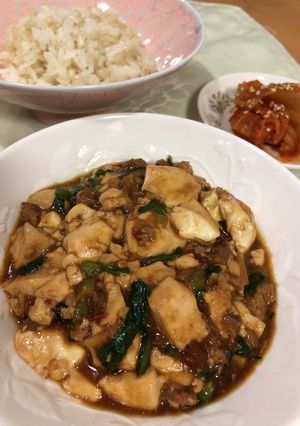 簡単&本格　味シミお肉の麻婆豆腐-レシピのメイン写真