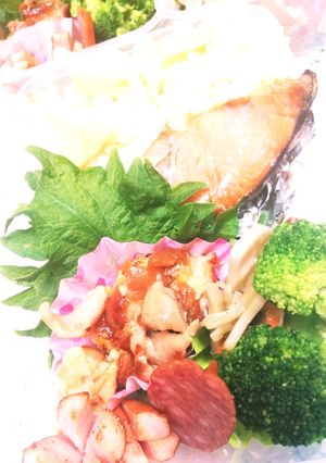 新しい鮭弁-レシピのメイン写真