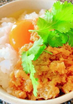 ぶっかけ肉ネギ塩ダレ-レシピのメイン写真