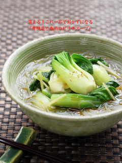 ご飯に合う!青梗菜と春雨のピリ辛スープ-レシピのメイン写真