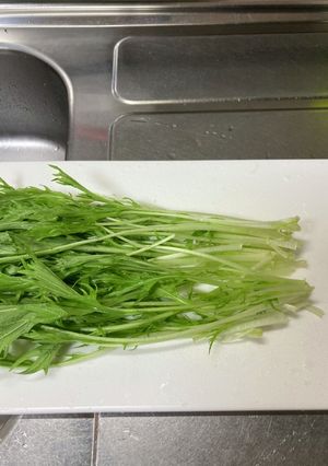 水菜保存〜使うまで(洗い方),-レシピのメイン写真