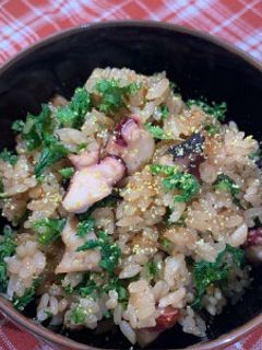 しまなみリーフ炊き込みご飯(タコ飯)-レシピのメイン写真