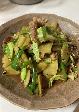 ハヤトウリ消費！焼肉のタレで肉野菜炒め-レシピのメイン写真