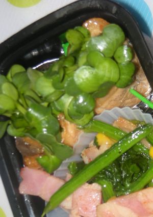 ●お弁当おかずに☆豚肉のカイワレ巻き○-レシピのメイン写真