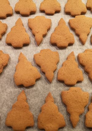 米粉のサクサクシナモンクッキー-レシピのメイン写真