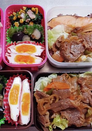高校生息子、旦那、娘弁当(11/16)-レシピのメイン写真