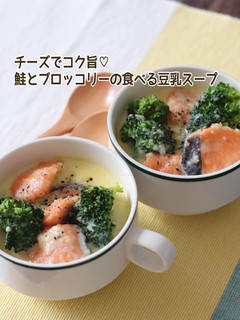 鮭とブロッコリーの食べる豆乳スープ-レシピのメイン写真