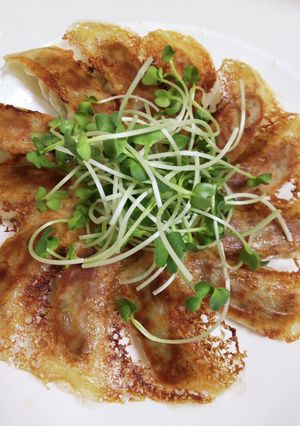 餃子にカイワレ大根のトッピング-レシピのメイン写真