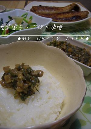 大葉香る★ごぼう味噌（ご飯のお供に）-レシピのメイン写真