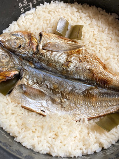 アジの絶品炊き込みご飯☆おかわり下さい♪-レシピのメイン写真