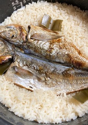 アジの絶品炊き込みご飯☆おかわり下さい♪-レシピのメイン写真
