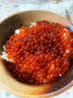 兄貴のイクラの醤油漬け-レシピのメイン写真