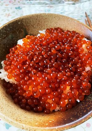 兄貴のイクラの醤油漬け-レシピのメイン写真