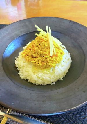 ジンジャーチキンキーマカレー-レシピのメイン写真