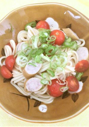 お出汁たっぷり～サラダうどん～-レシピのメイン写真