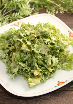簡単！わさび菜のわさびサラダ-レシピのメイン写真