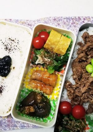 麻婆豆腐&牛丼弁当(11.17)-レシピのメイン写真