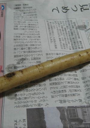 牛蒡の下準備-レシピのメイン写真
