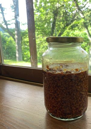 材料２つだけ！簡単醤油麹の作り方-レシピのメイン写真