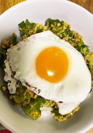 【ねばねば】オクラカレー【簡単】-レシピのメイン写真