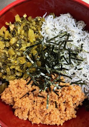 時短過ぎ☆しらす鮭高菜の3色丼-レシピのメイン写真