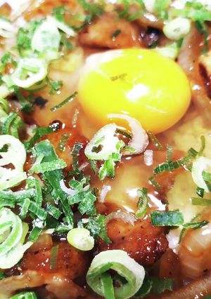 鶏皮甘辛丼-レシピのメイン写真