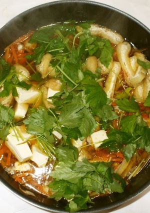 鶏ごぼう鍋♪胃に優しい鍋物簡単漢方薬膳-レシピのメイン写真