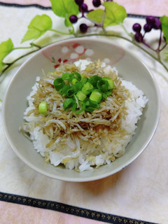 やみつき♬しらす生姜ご飯美味しい-レシピのメイン写真