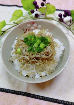やみつき♬しらす生姜ご飯美味しい-レシピのメイン写真