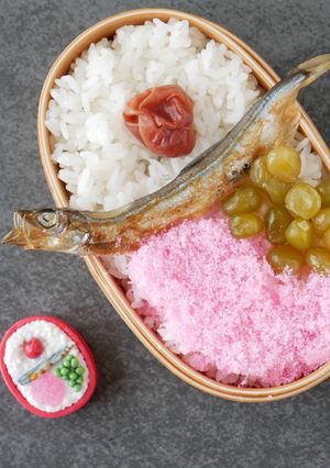 のせるだけ。再現メイの弁当-レシピのメイン写真