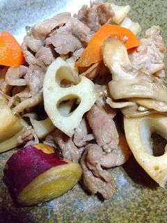 根菜と豚肉の炒め煮-レシピのメイン写真