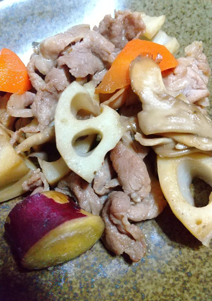 根菜と豚肉の炒め煮-レシピのメイン写真