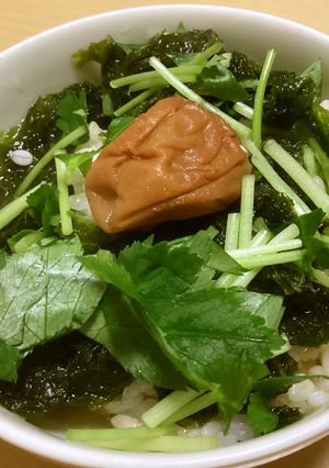 あおさと梅干のお茶漬け-レシピのメイン写真