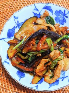 茄子とチンゲン菜と豚肉の炒め物-レシピのメイン写真