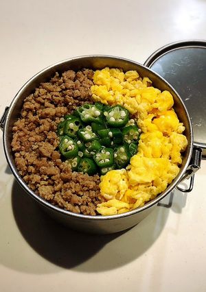 のっけ弁当2022.11.21そぼろ丼-レシピのメイン写真