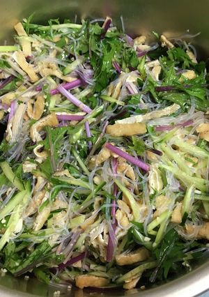 お揚げ(干し豆腐)と水菜の中華サラダ-レシピのメイン写真