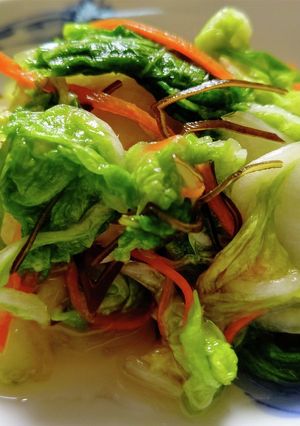 ご飯がすすむ！簡単白菜の浅漬け-レシピのメイン写真