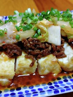 簡単がっつり系の厚揚げステーキ-レシピのメイン写真