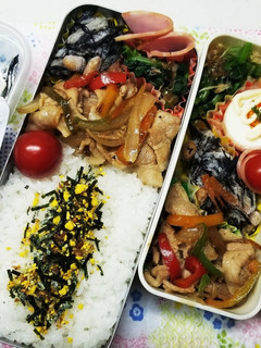 豚肉パプリカ炒め弁当(11.22)-レシピのメイン写真