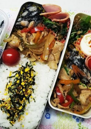 豚肉パプリカ炒め弁当(11.22)-レシピのメイン写真