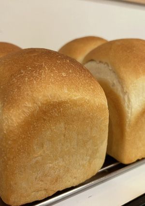 こねずに楽々！シンプル食パン-レシピのメイン写真