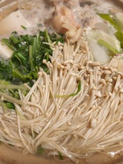 濃い出汁の水炊き-レシピのメイン写真