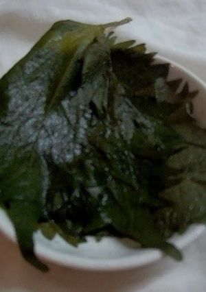 極少量の青じその塩漬け-レシピのメイン写真