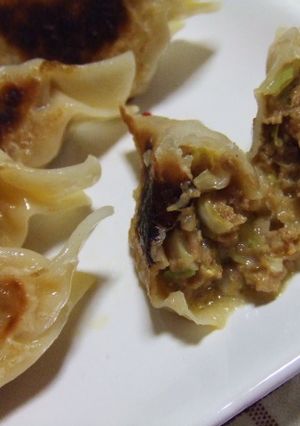 残り物カレーで、ジューシー餃子♪-レシピのメイン写真