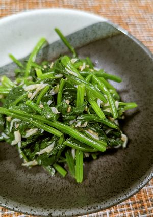 とろろ昆布が隠し味！ほうれん草お浸し-レシピのメイン写真